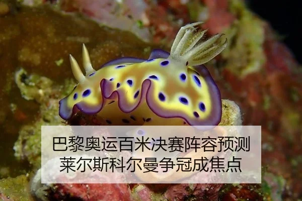 巴黎奥运百米决赛阵容预测 莱尔斯科尔曼争冠成焦点